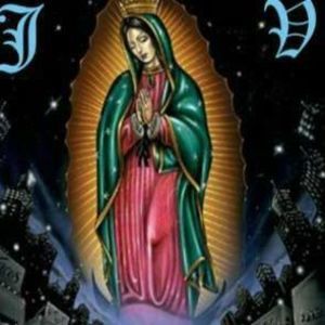 Meet your Posher, Roberto